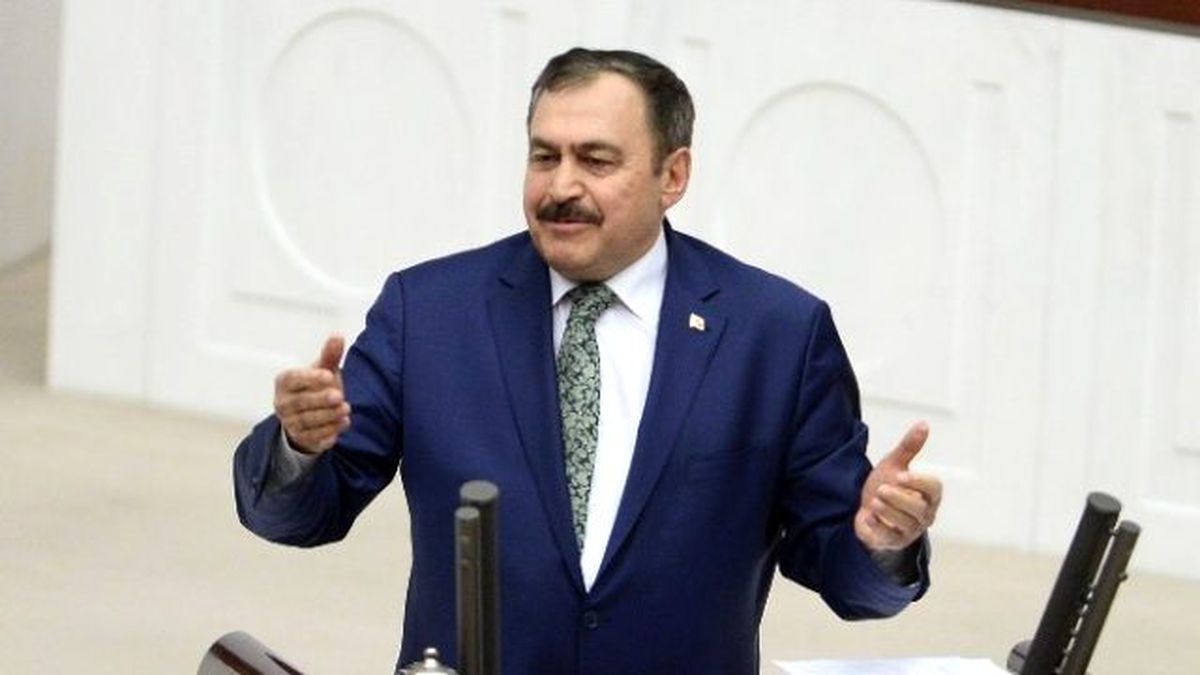 Türkiye\'de Orman Varlığı Artıyor