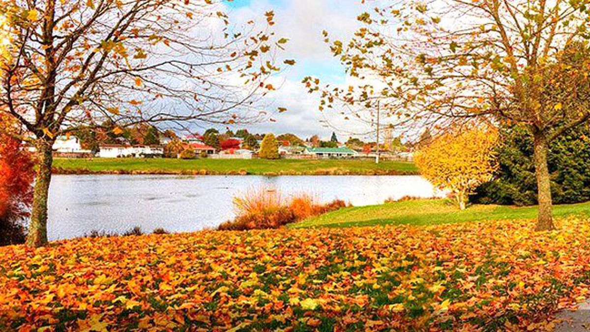 788 Bin Lira Maaşla Eleman Arayan Doktora Teklif Yağdı