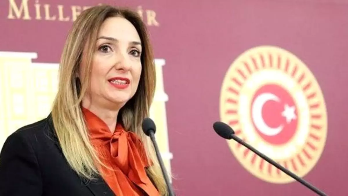 Aylin Nazlıaka CHP\'den İhraç Edildi