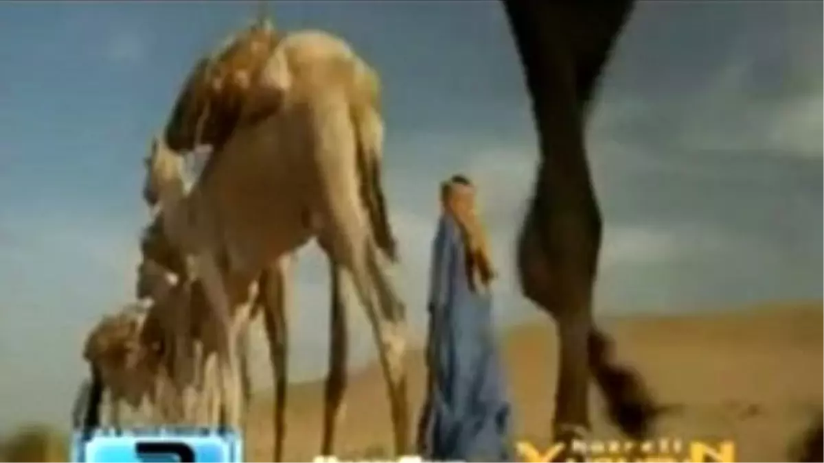 Abdurrahman Önül - Yusuf\'un Öyküsü