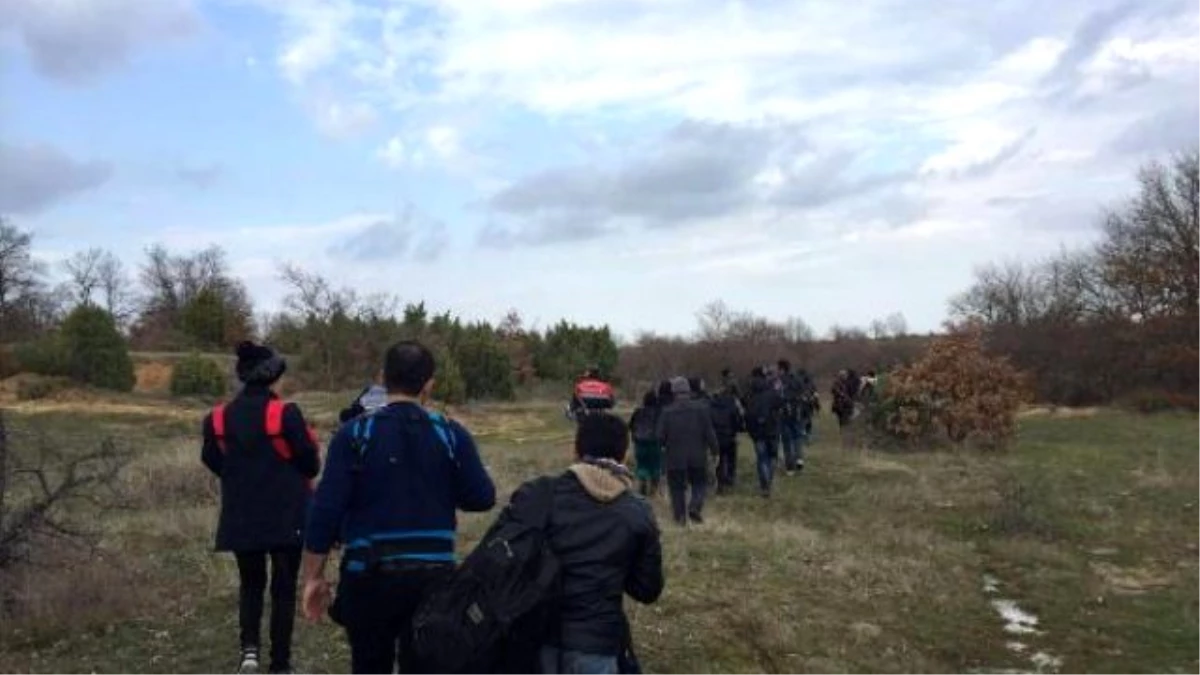 Edirne\'de Ormanlık Arazide 31 Suriyeli Yakalandı