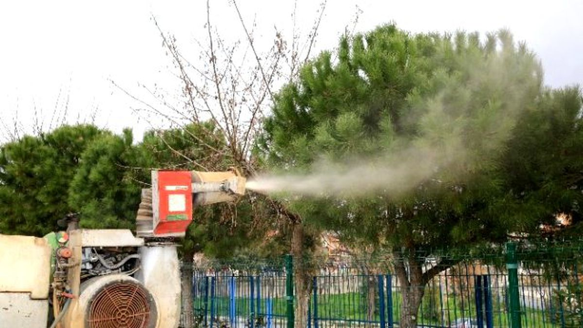 Buca\'da Çam Kese Böceği ile Mücadele Başladı