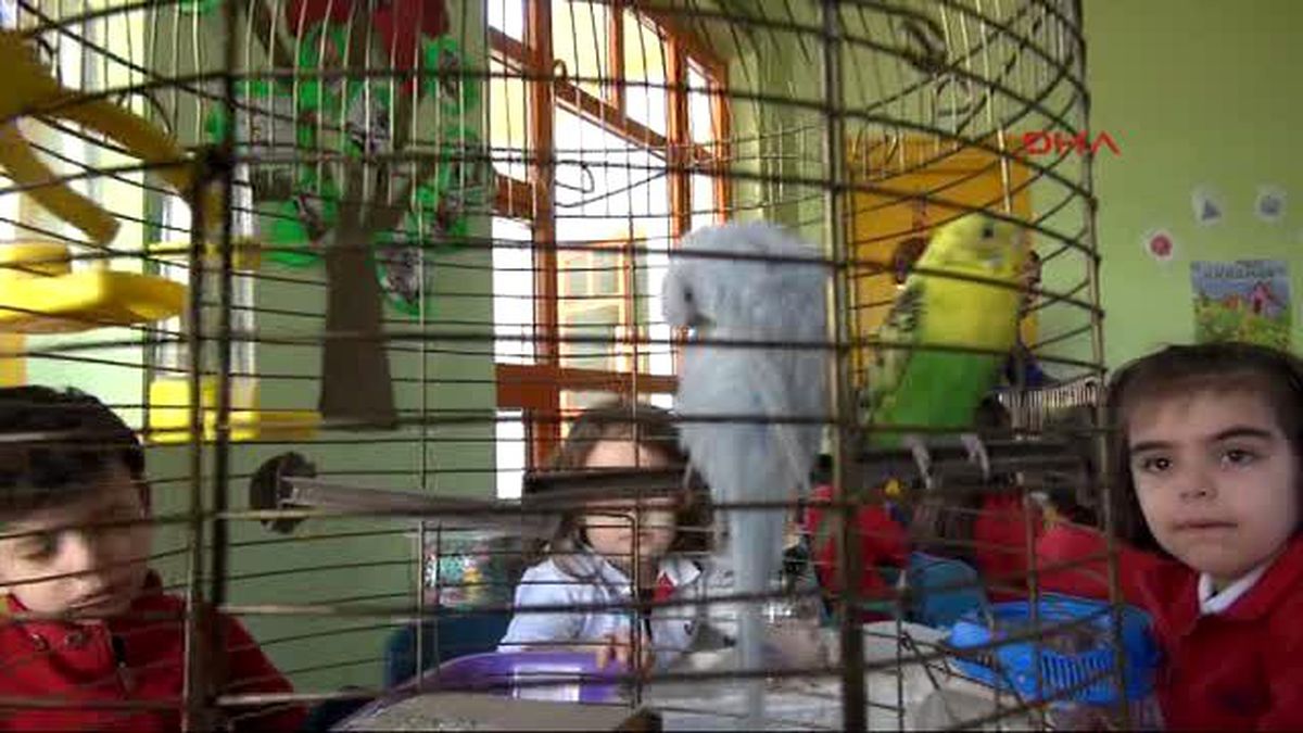 Gaziantep Evde Besledikleri Hayvanları Sınıfa Getirdiler