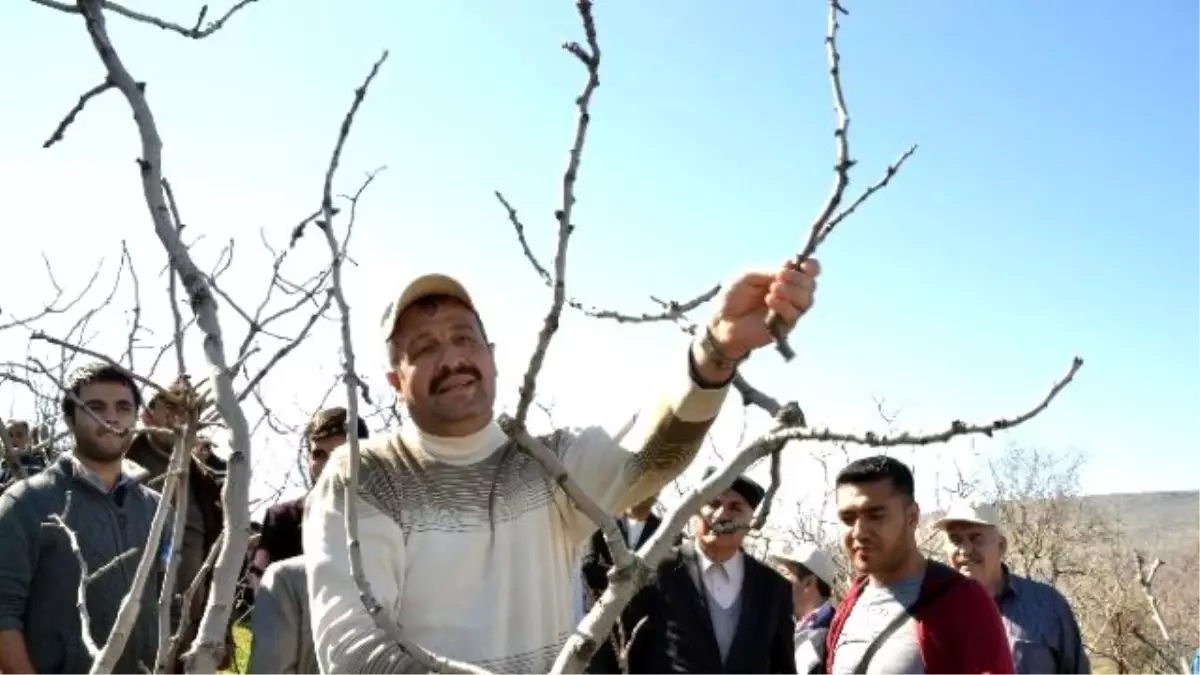 Siirt\'te Tarımda Kurumlar Arası İşbirliği ile Daha Kaliteli Verim Elde Edilmesi Amaçlanıyor