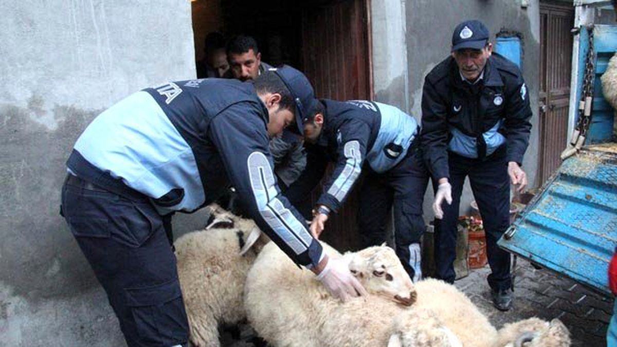 Ahırların Taşınma Süreci Başladı