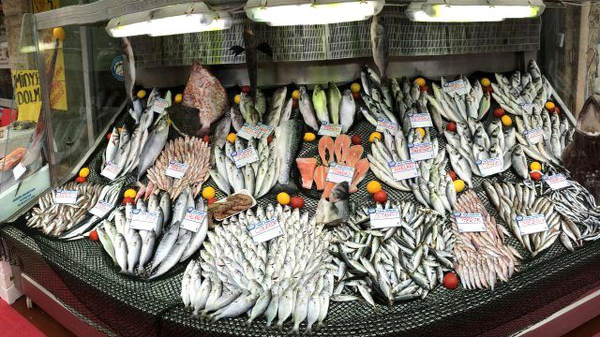 Çinekop, Kırmızı Eti 'Solladı'