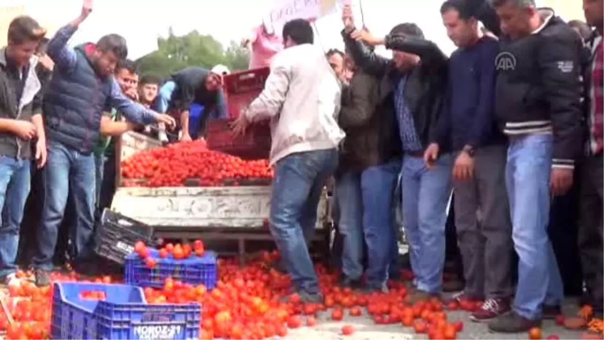 Domates Üreticisinden "Düşük Fiyat" Eylemi