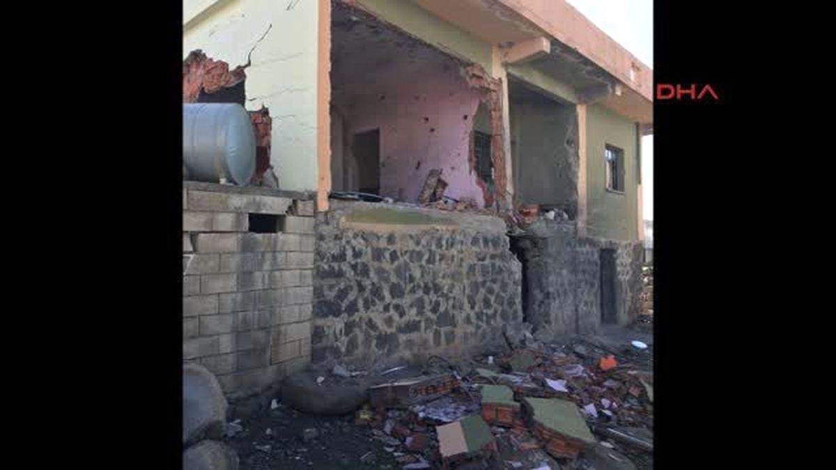 İdil\'deki Operasyonda Yaralanan Kediyi Sağlıkçı Kurtardı