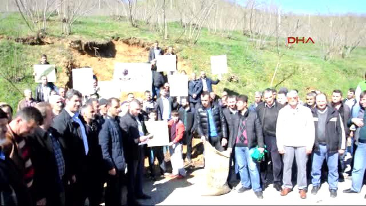 Sakarya Fiyatlar Düşünce Fındık Yaktılar