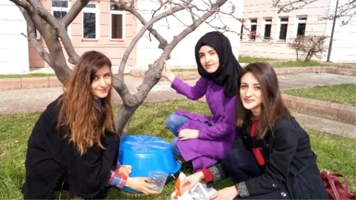 Ülkücülerden Sokak Hayvanları İçin Barınak