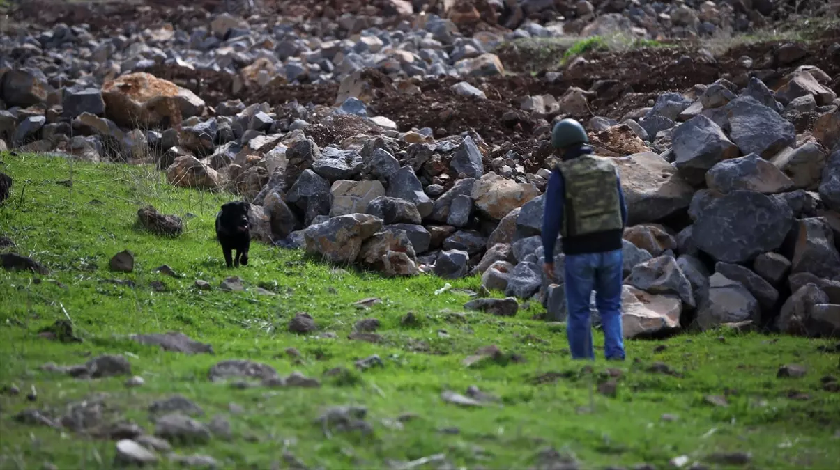 6 PKK\'lının Cezaevinden Firarıyla İlgili 2 Müfettiş Görevlendirildi