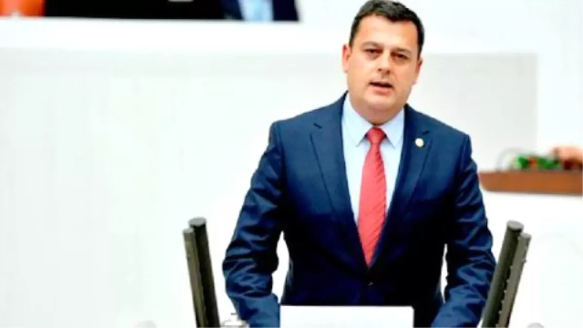 8 Mart Dünya Kadınlar Günü
