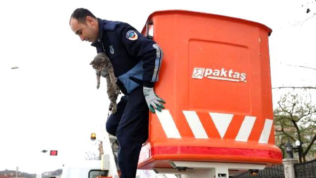 Ağaçta Mahsur Kalan Kedi Kurtarıldı