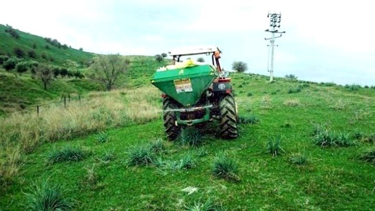 Aydın\'da Yılın İlk Mera Islahı Gübreleme Çalışmaları Tamamlandı