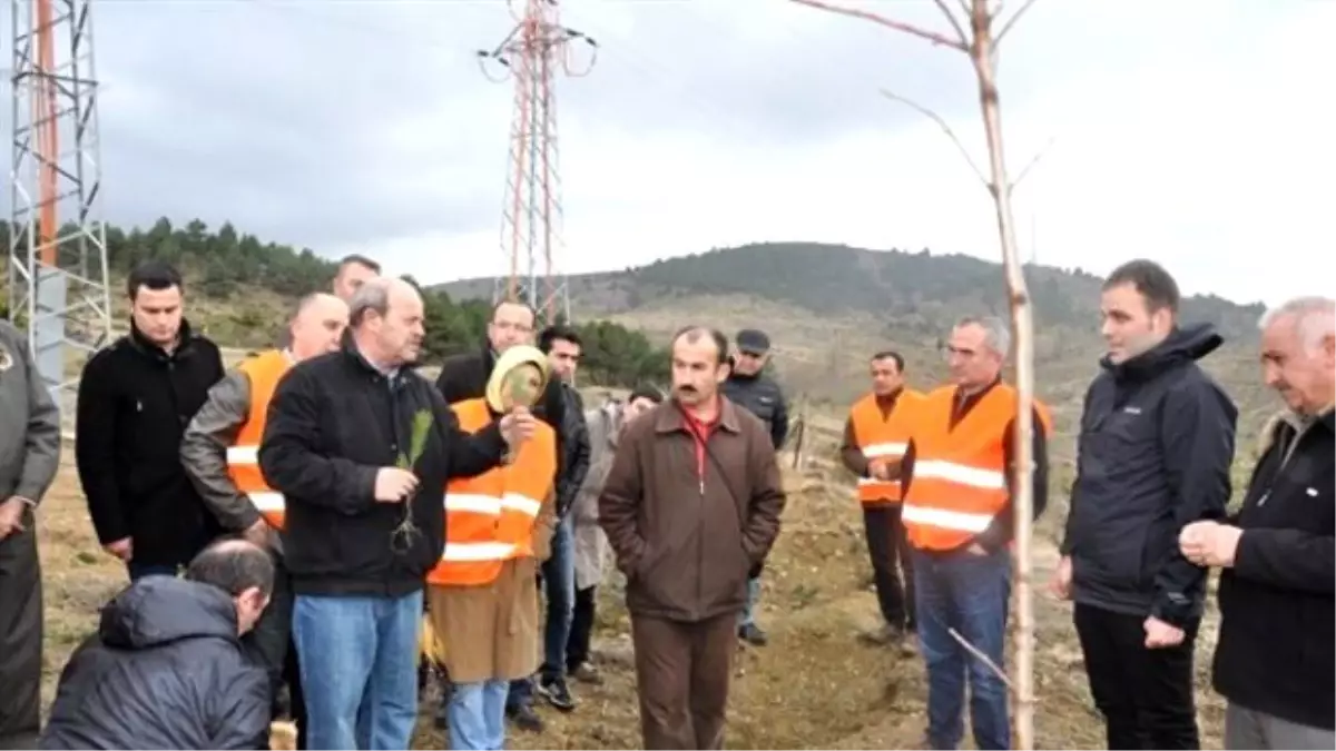 Kastamonu\'da Ağaçlandırma Eğitim ve Tatbikatı Yapıldı