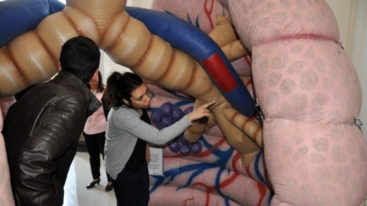 Koca Ciğer Projesi" Dörtyol\'da Tanıtıldı