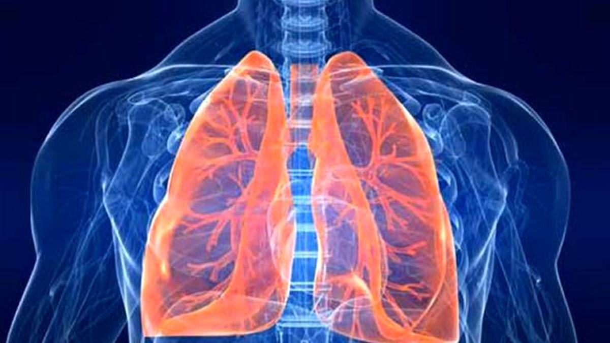 Pulmoner Rehabilitasyon Haftası