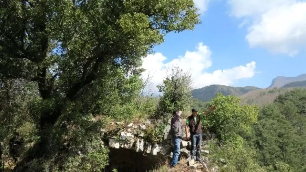 Tarihi Kaleye Gezi Düzenlendi