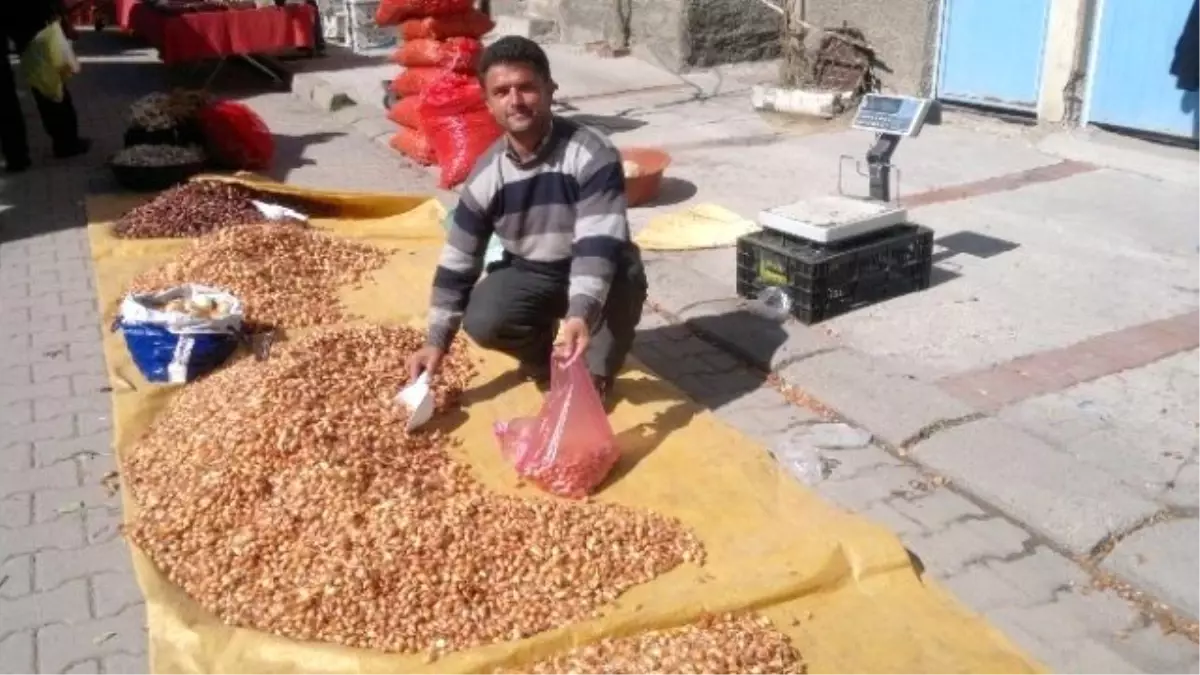 Tohumluk Kuru Soğan Fiyatları El Yakıyor