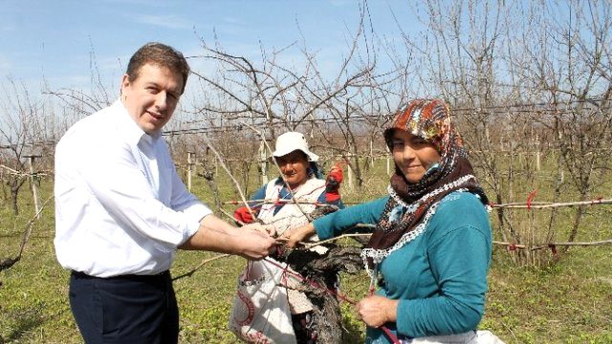 Ak Partili Necip Filiz, Kadınlar Günü\'nü Tarlada Kutladı