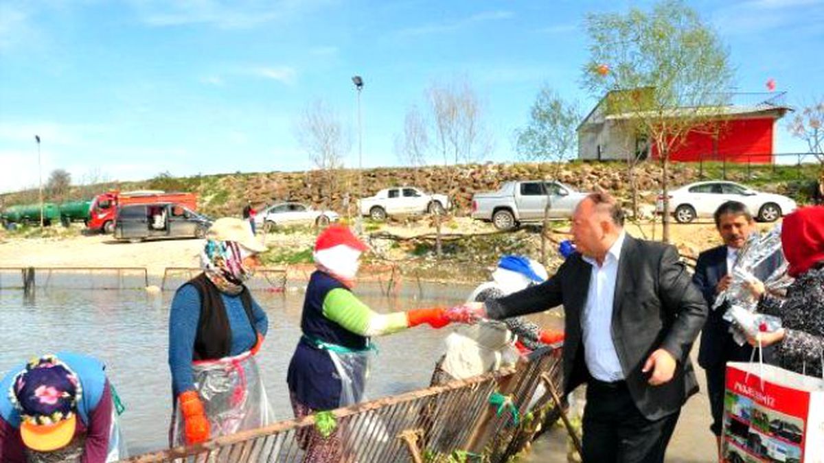 Derede Çalışan Turp İşçisi Kadınlara Kutlama