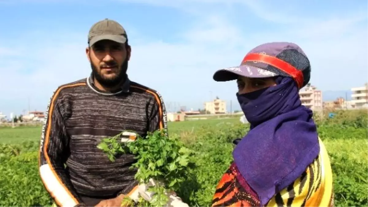 Eşinin Kadınlar Günü\'nü Bir Bağ Maydanozla Kutladı