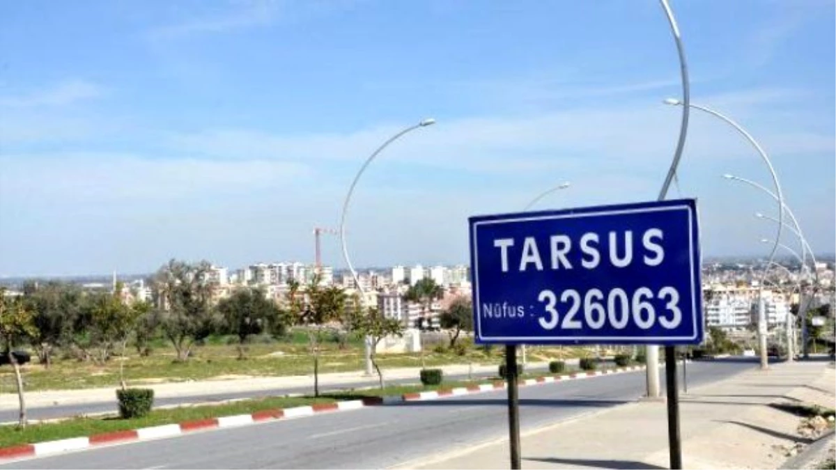 Tarsus\'ta Kuduz Alarmı