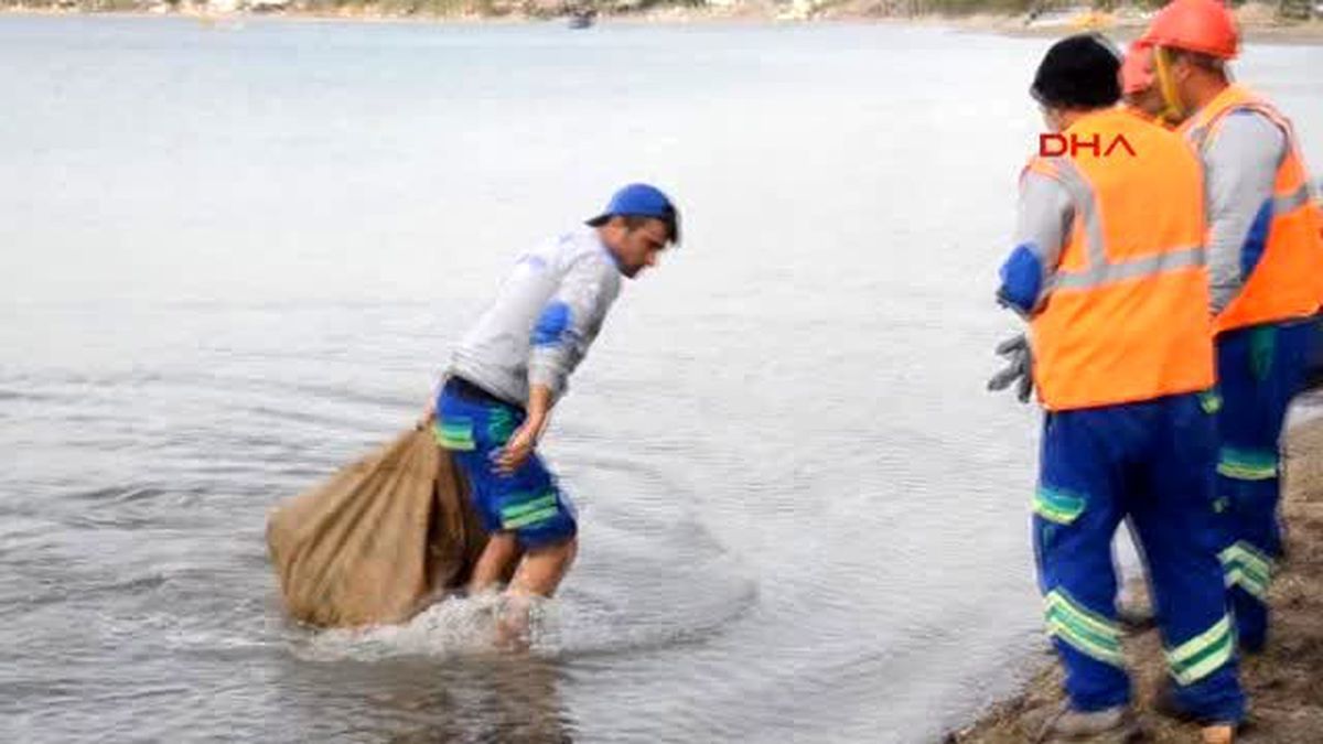 Bodrum Deniz Dibi Temizliğinden Çıkan Tekne Tuvaleti Pes Dedirtti