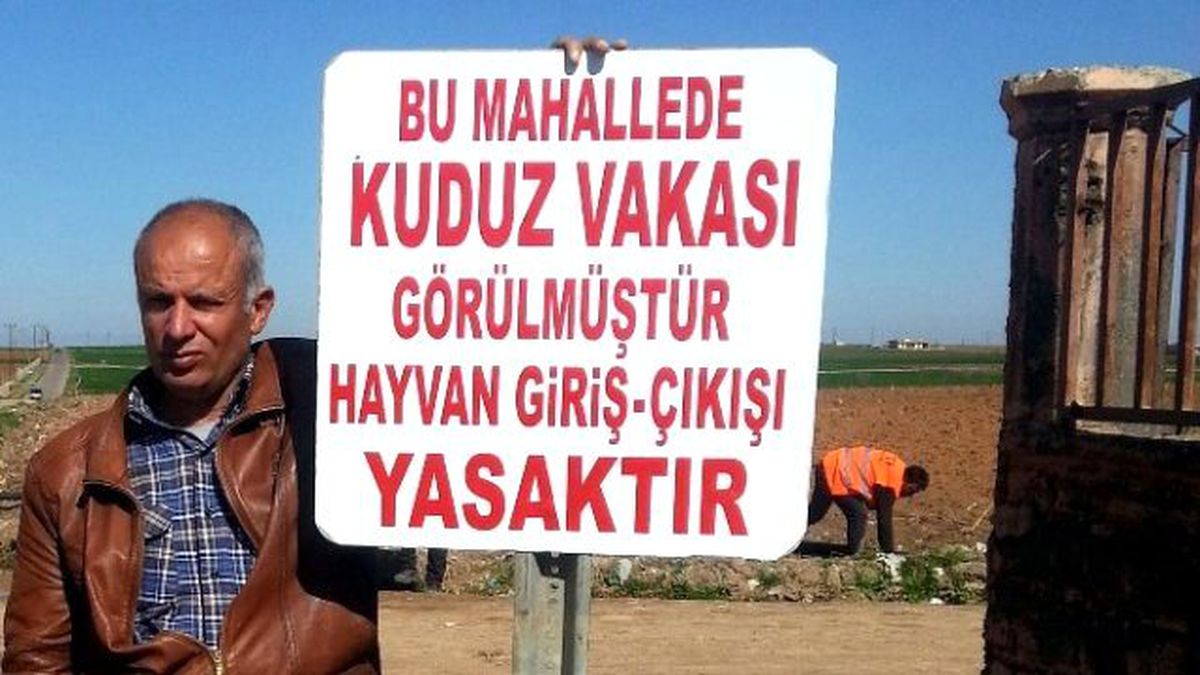 Ceylanpınar\'da Kuduz Vakası