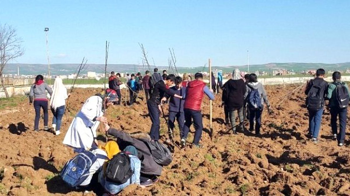 Öğretmen ve Öğrenciler Fidan Dikti