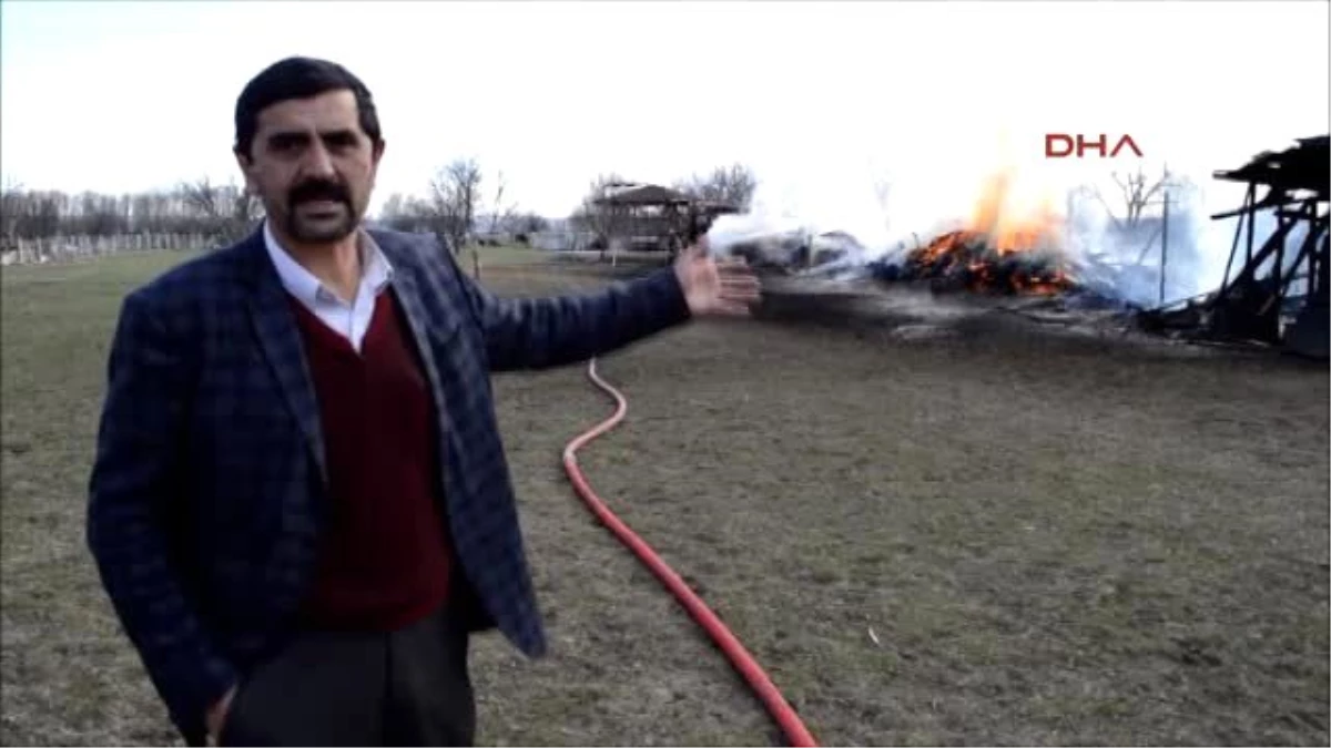 Ankara - Çiftlikte Çıkan Yangında Samanlık Kül Oldu