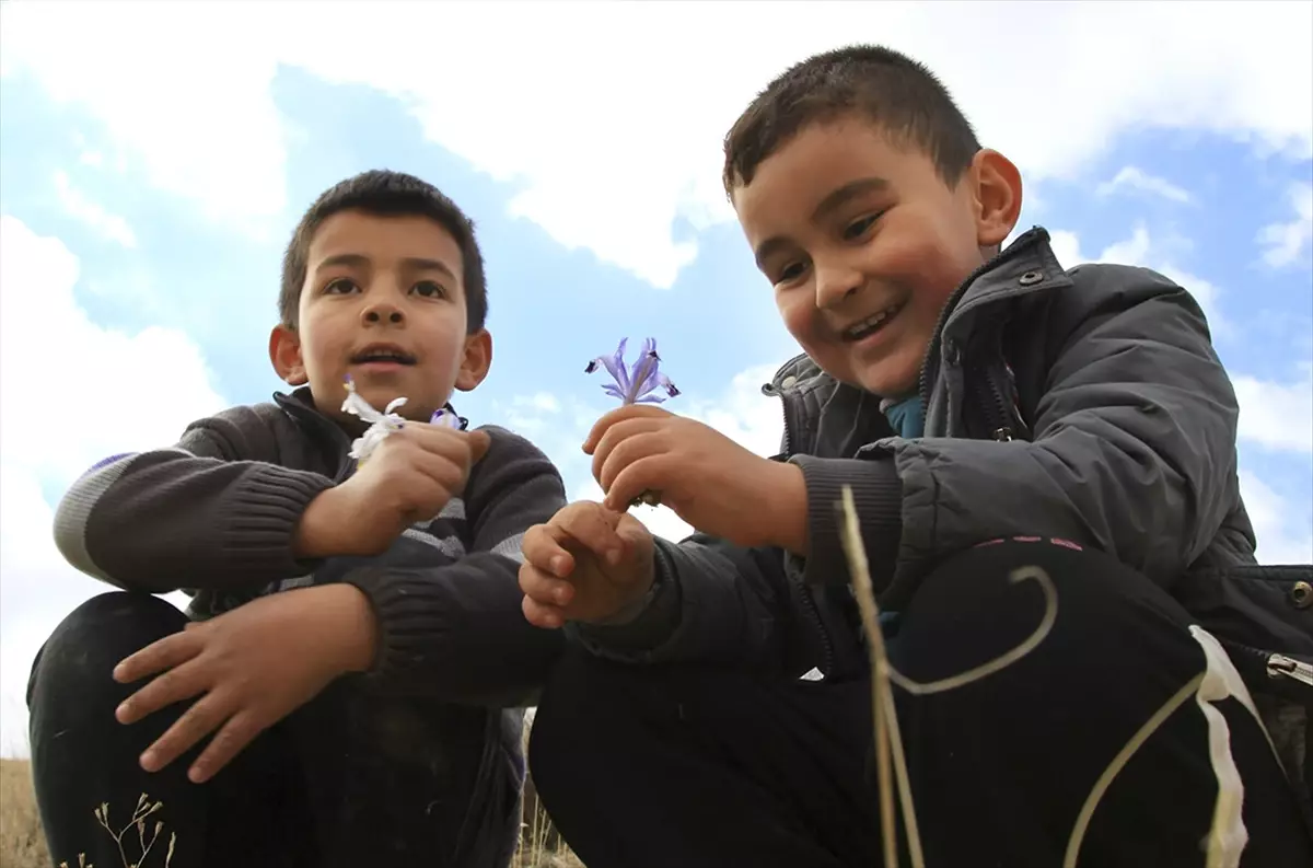 Baharın Müjdecisi Nevruz Çiçekleri Açtı