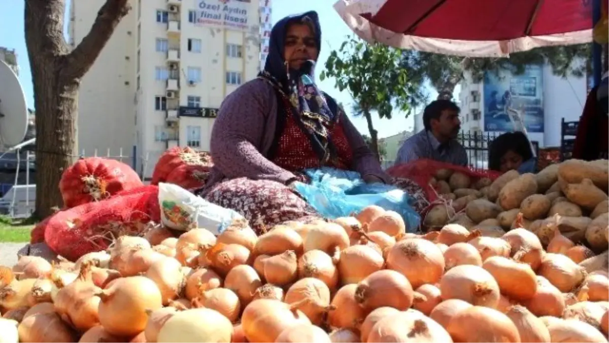 Don Soğanı, Soğan Cüzdanı Yaktı