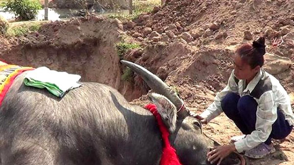 Tayland'ın Sembolü Servet Değerindeki 'Manda Prens' Öldü