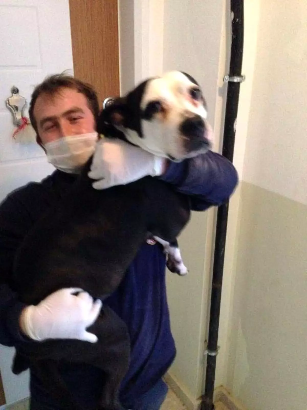 Bakırköy'deki Travesti Cinayetini Aydınlatan Görüntüler Ortaya Çıktı