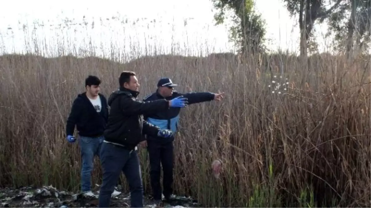 Köşk Belediyesi Lavrasit ile Mücadeleye Devam Ediyor.