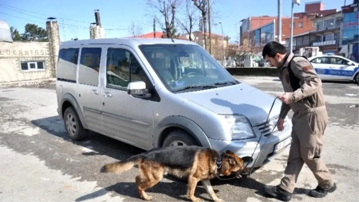 Bomba Uzmanı Aleks Görev Başında