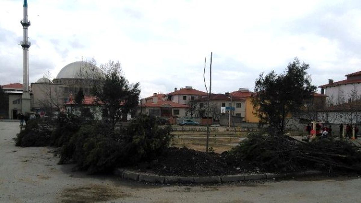 Ağaçlandırma Çalışmaları Devam Ediyor