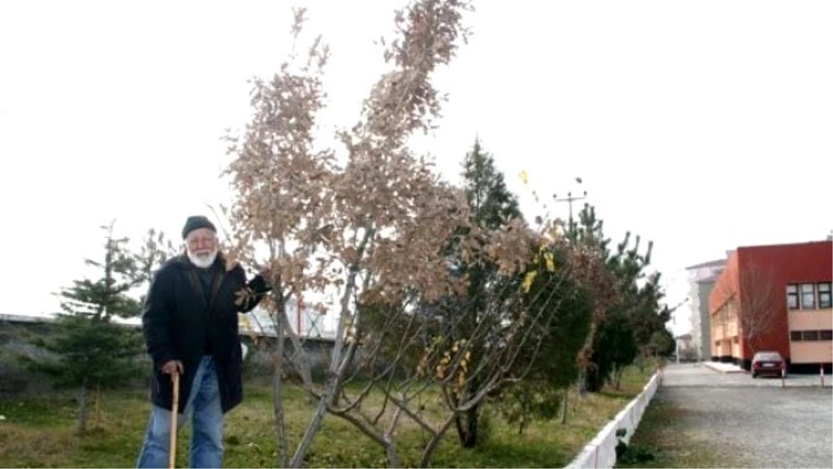 Çakır Dede Hayatını Kaybetti