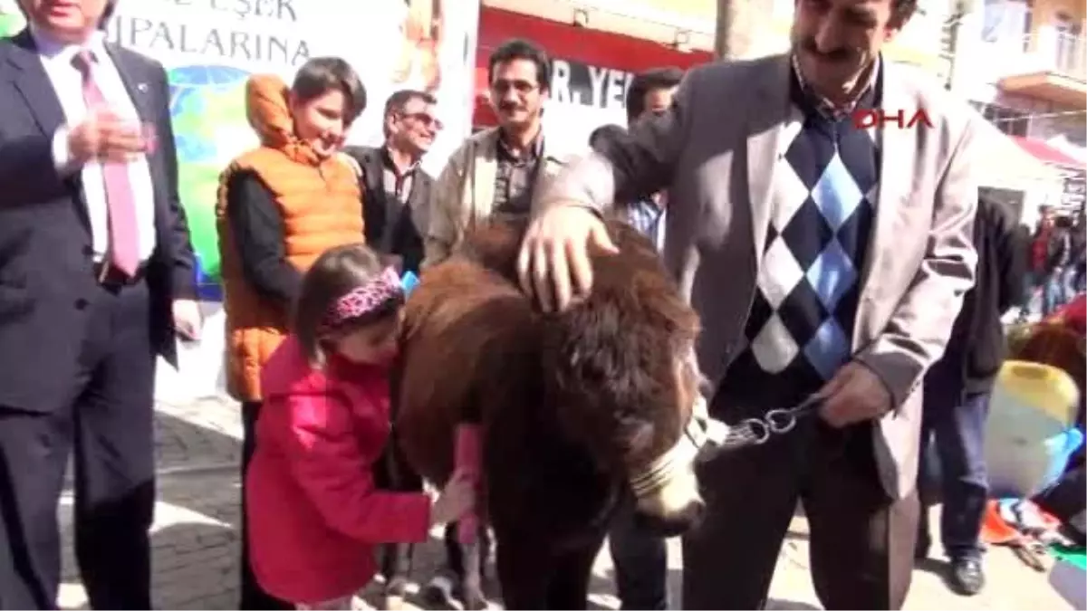 Eskişehir Çocuklar Çevre Eylemi İçin Getirilen Sıpayı Sevdi