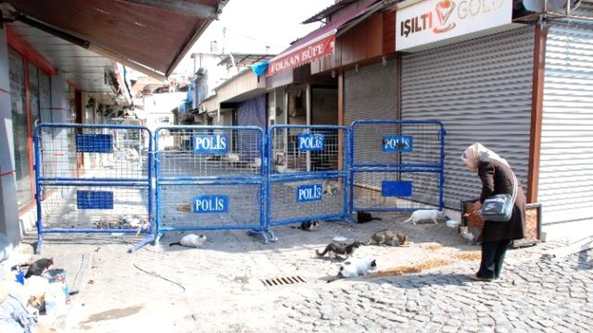 Sur\'da Hayat Normalleşiyor