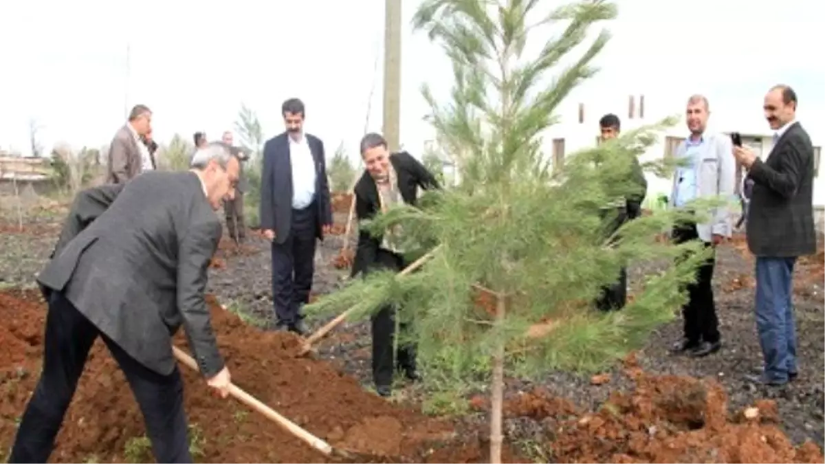 Bağlar\'ın Mahalleleri Ağaçlandırılıyor