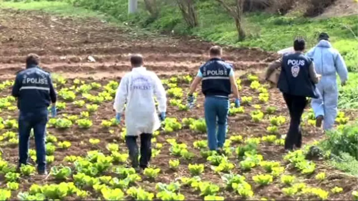 Kilis\'e Düşen Roket Mermileri, Kontrollü İmha Edildi