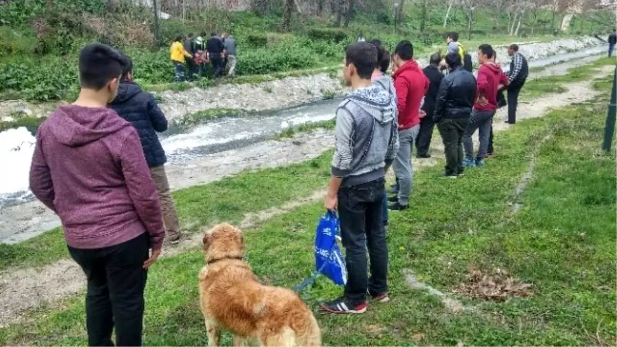 Köpekleri Uğruna Dereye Atladılar