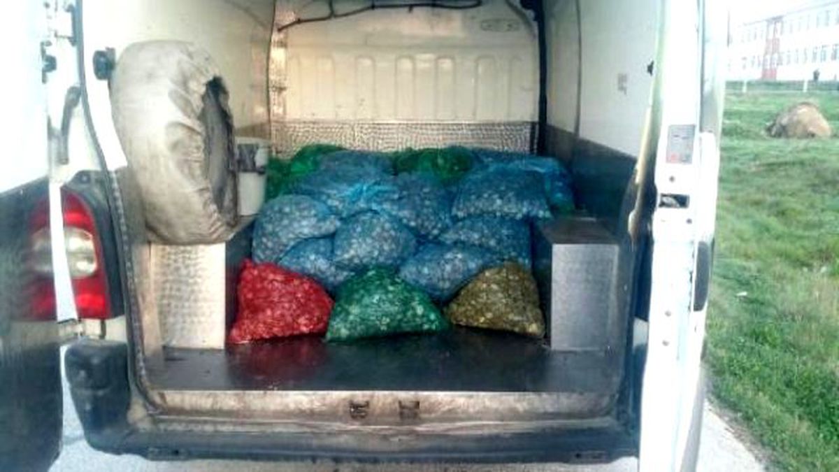 Edirne\'de 1 Ton 340 Kilo Kaçak Midye Ele Geçti