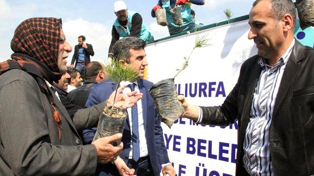 Vatandaşa Fidan Dağıtımı Yapıldı