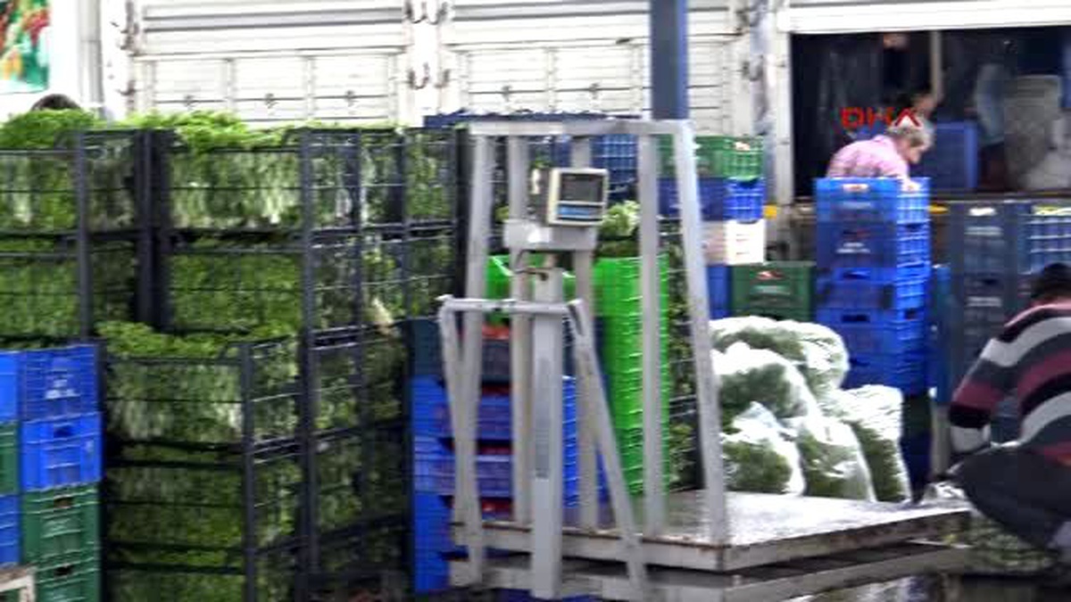 Antalya Yaz Meyveleri Gramla Satılıyor