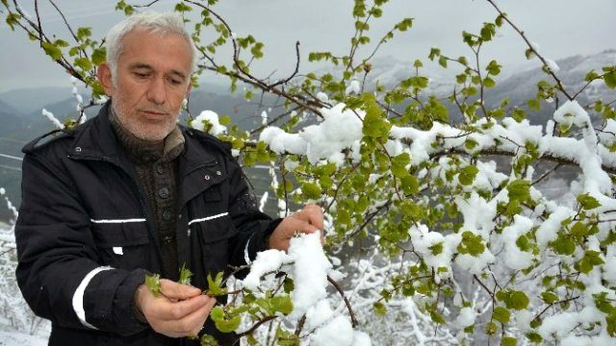 Baharı Beklerken Kar Yağdı