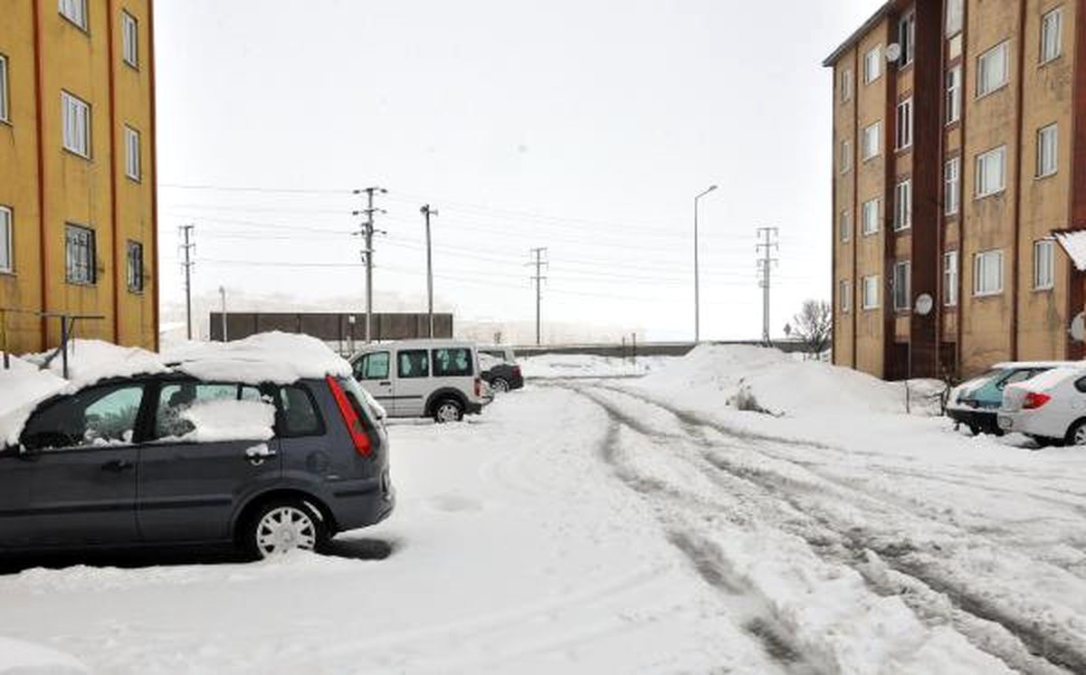 Bitlis\'te Mart Karı Etkili Oldu