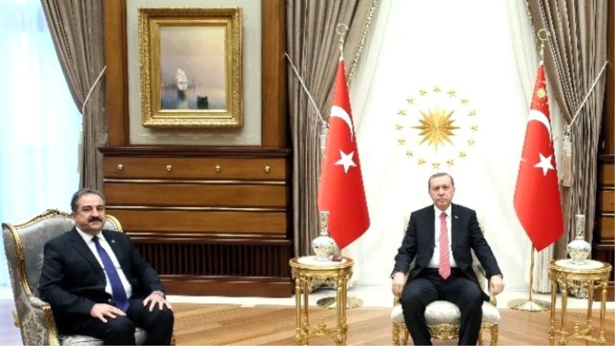 Cumhurbaşkanı Erdoğan Sayıştay Başkanı Akyel\'i Kabul Etti